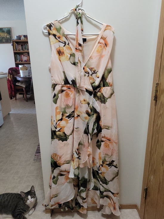 Michel Studio Dresses & Skirts - Michel Studio Blush Floral Wrap Maxi Dress with Green Accents